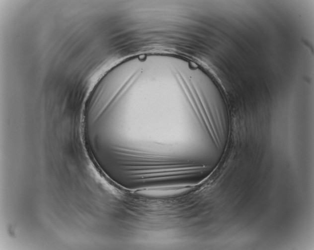 X0000102761379200809020958