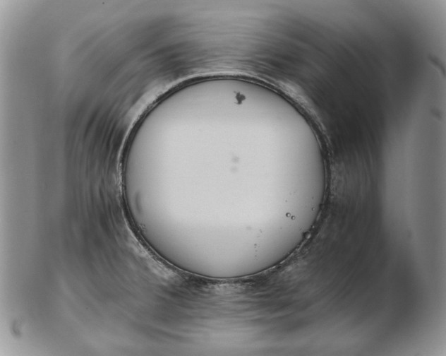 X0000102761380200809020958