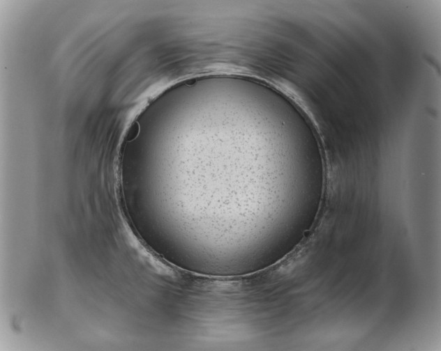 X0000102761381200809020958