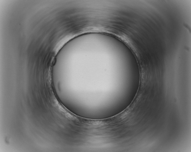 X0000102761382200809020958