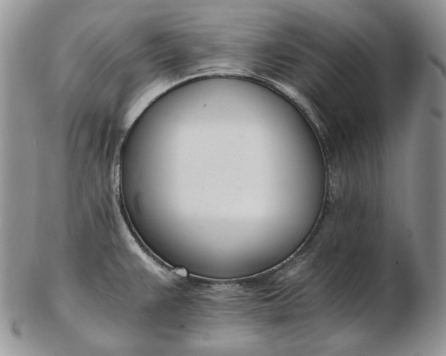 X0000102761383200809020958