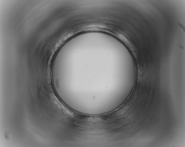 X0000102761384200809020958