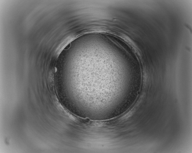 X0000102761385200809020958