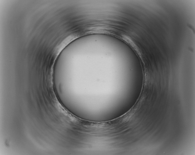 X0000102761386200809020958