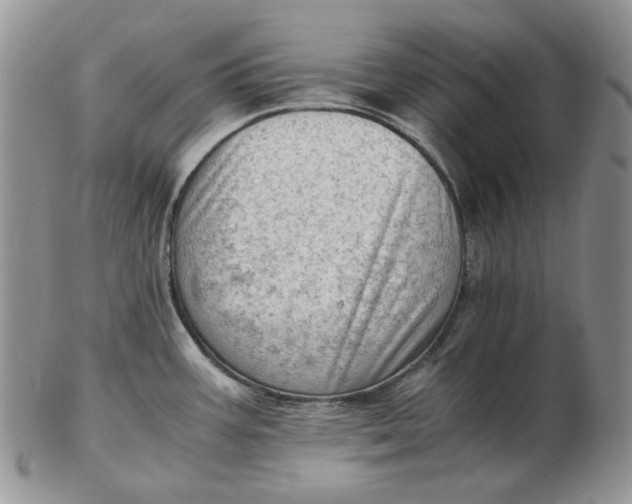 X0000102761387200809020958