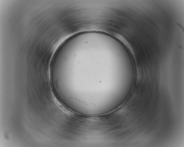 X0000102761388200809020958