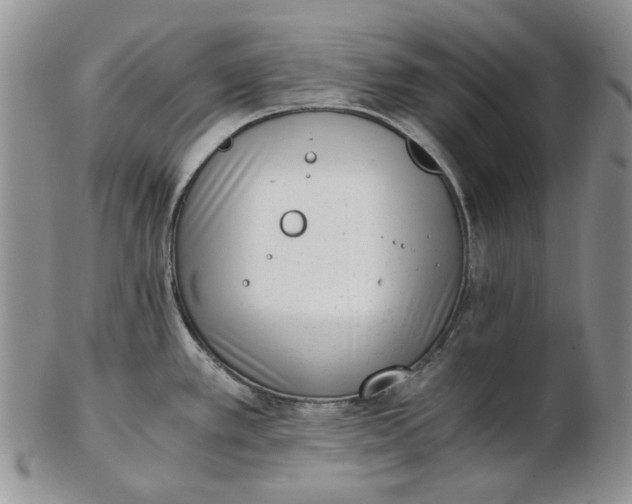 X0000102761389200809020958