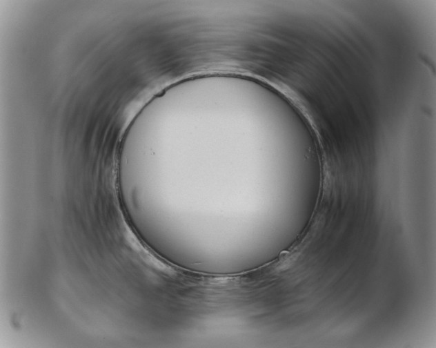 X0000102761390200809020958