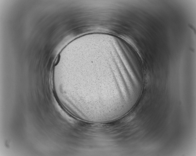 X0000102761391200809020958