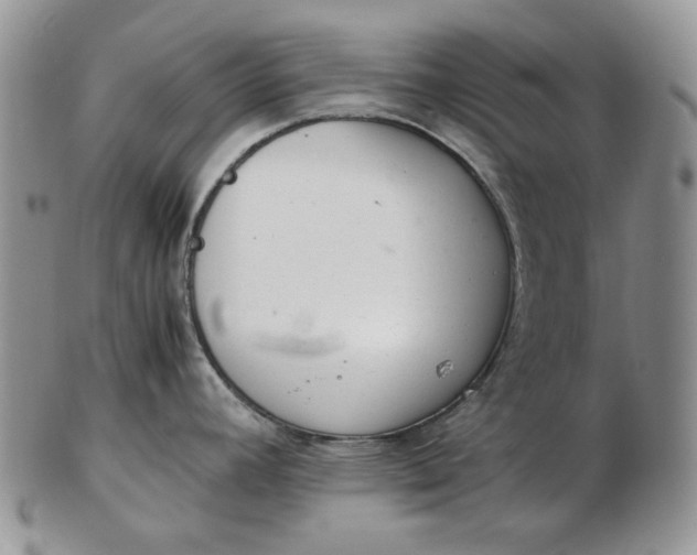 X0000102761392200809020958