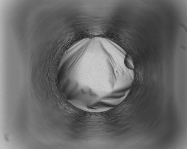 X0000102761393200809020957