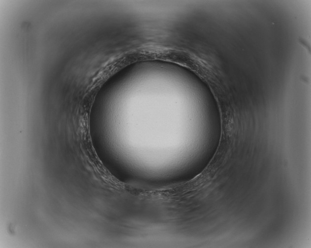 X0000102761397200809020957