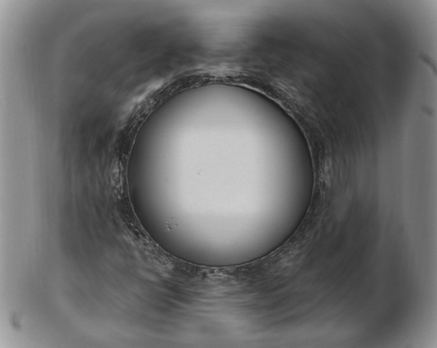 X0000102761398200809020957