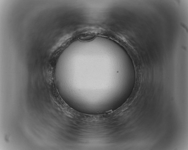 X0000102761399200809020957