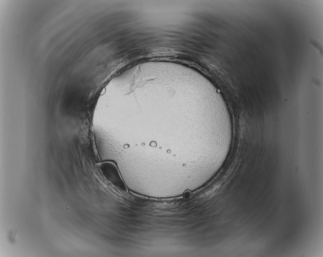 X0000102761401200809020957