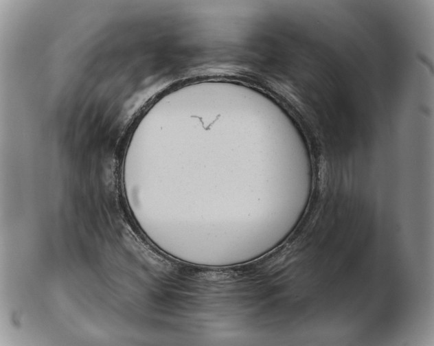 X0000102761404200809020957