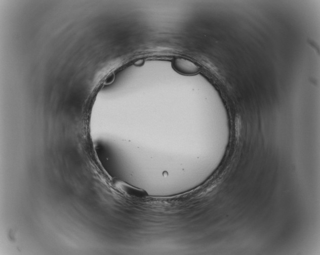 X0000102761405200809020957