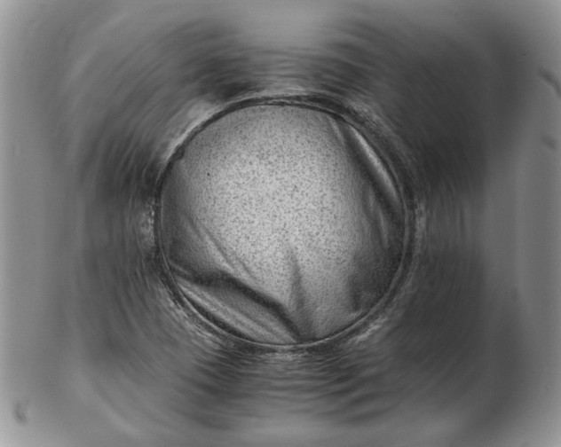 X0000102761409200809020957