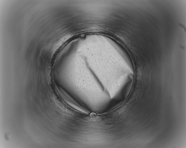 X0000102761410200809020957