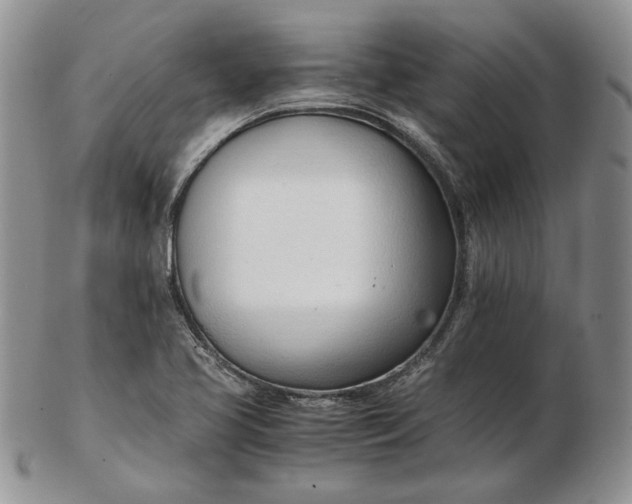 X0000102761413200809020957