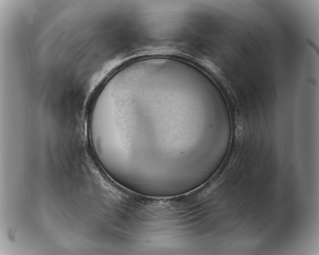 X0000102761414200809020957