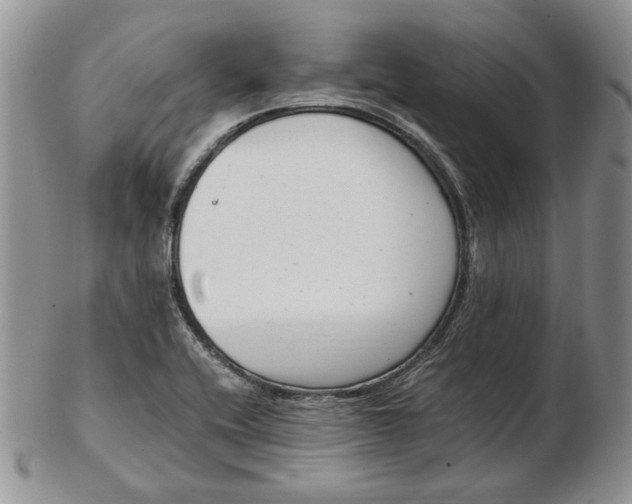 X0000102761416200809020957