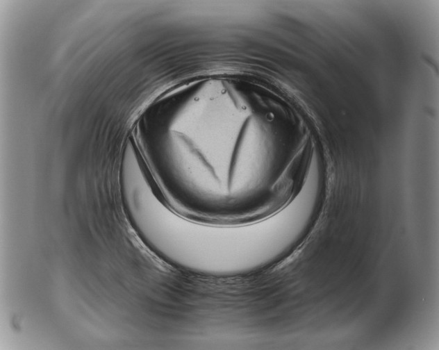 X0000102761417200809020957