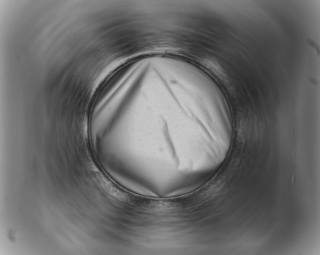 X0000102761420200809020957