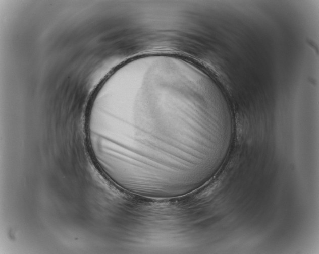 X0000102761422200809020958