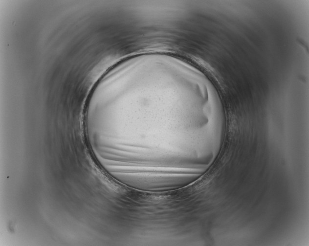 X0000102761423200809020958