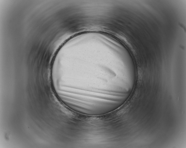 X0000102761424200809020958