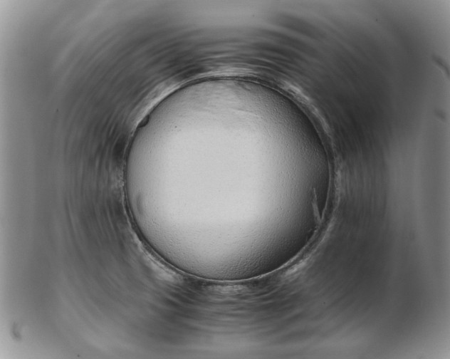 X0000102761425200809020958