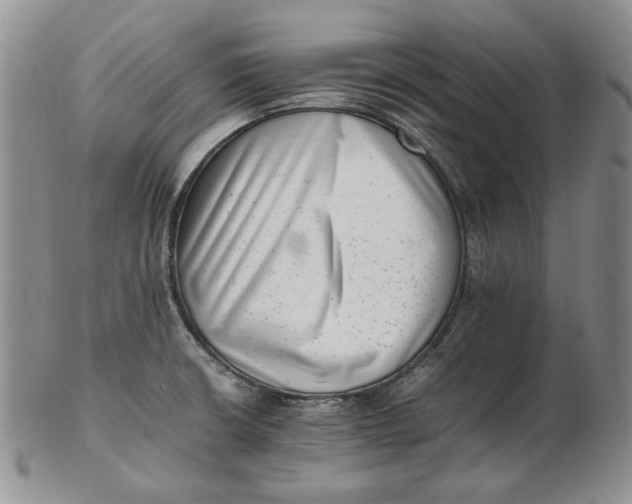 X0000102761426200809020958