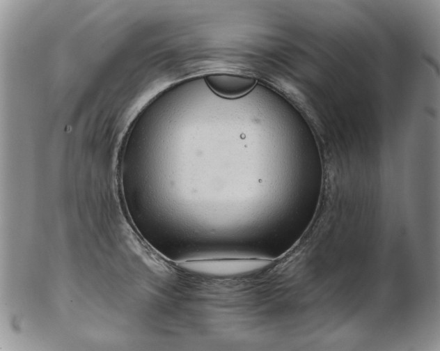 X0000102761427200809020958