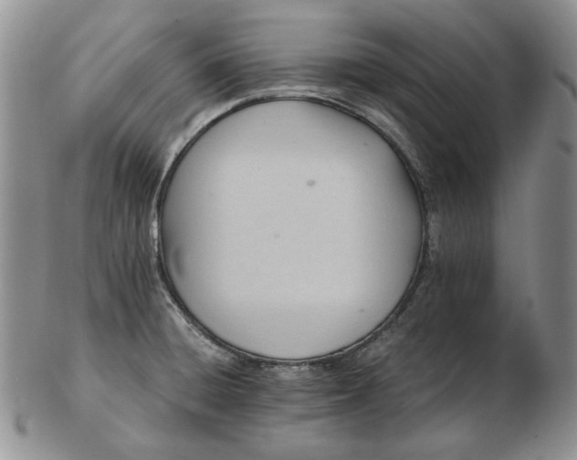 X0000102761428200809020958