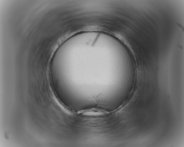 X0000102761429200809020958