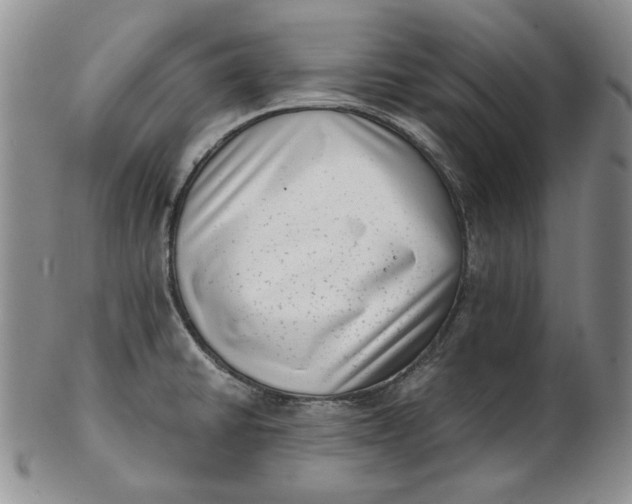 X0000102761430200809020958