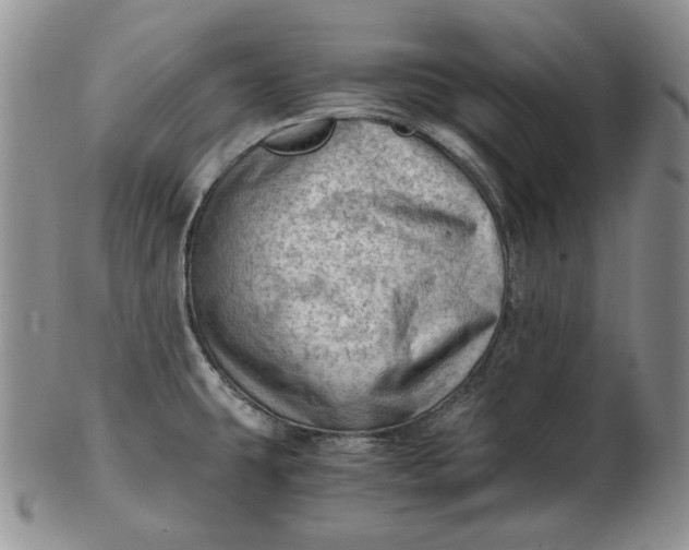 X0000102761431200809020958