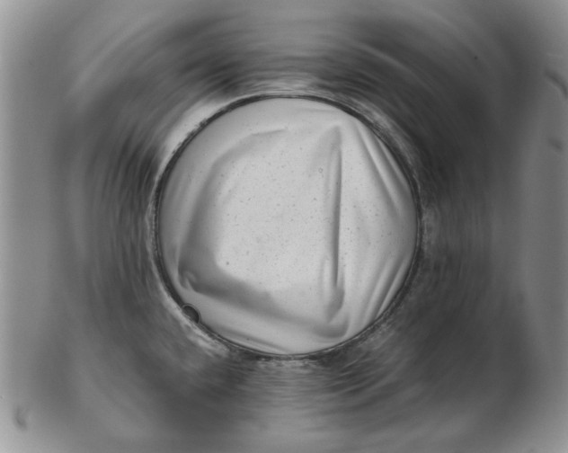 X0000102761432200809020958