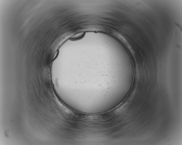 X0000102761433200809020958