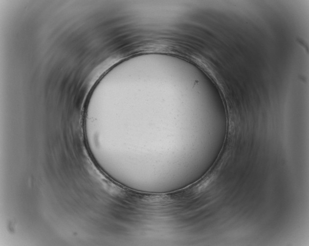 X0000102761434200809020958