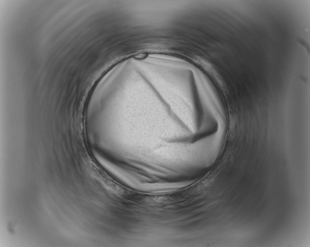 X0000102761435200809020958