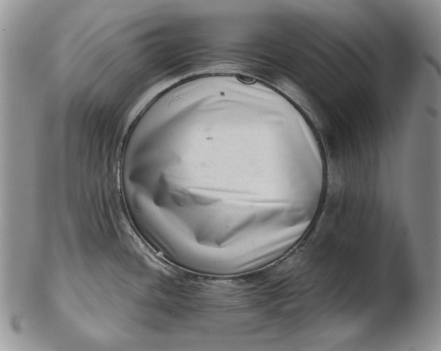 X0000102761436200809020958