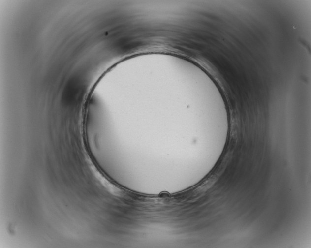 X0000102761438200809020958