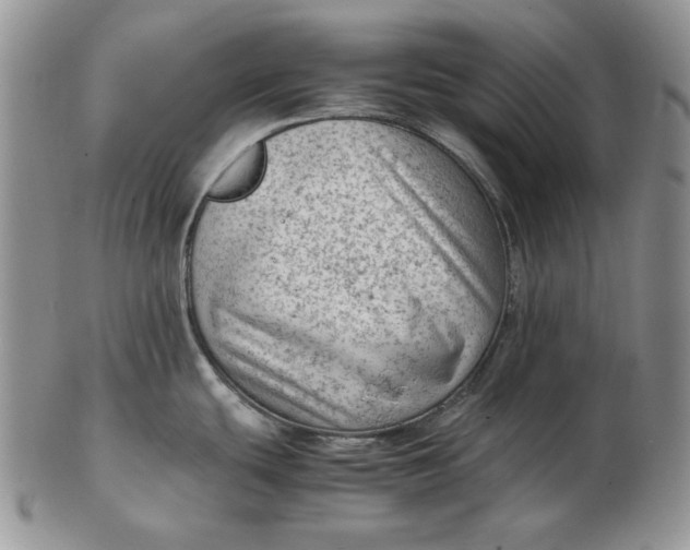 X0000102761439200809020958