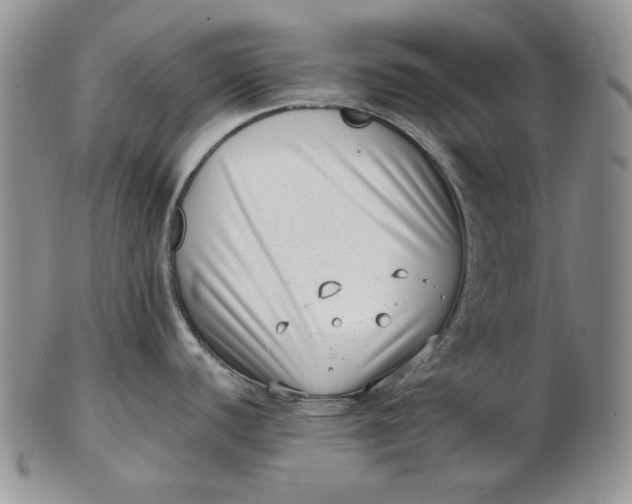 X0000102761440200809020958