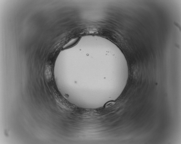 X0000102761442200809020957