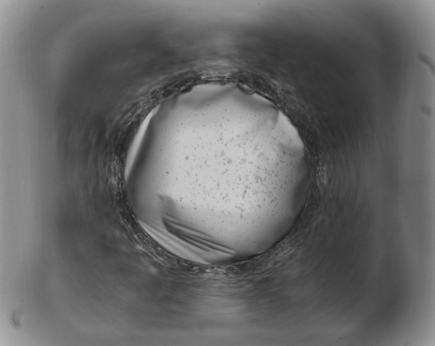 X0000102761445200809020957