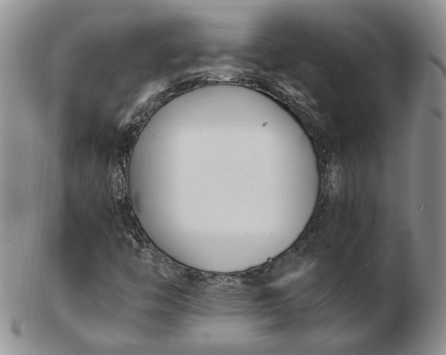 X0000102761446200809020957