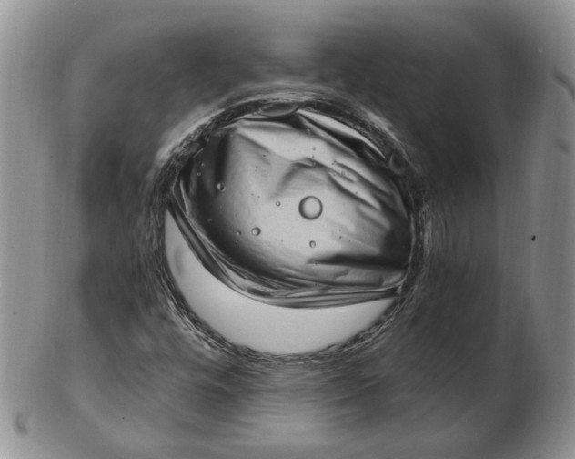 X0000102761448200809020957